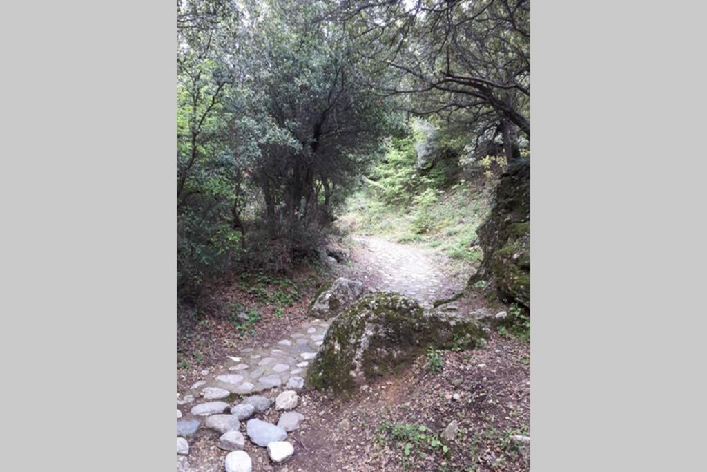 The House Under The Rocks Of Meteora 1 Apartment Kalambaka Bagian luar foto